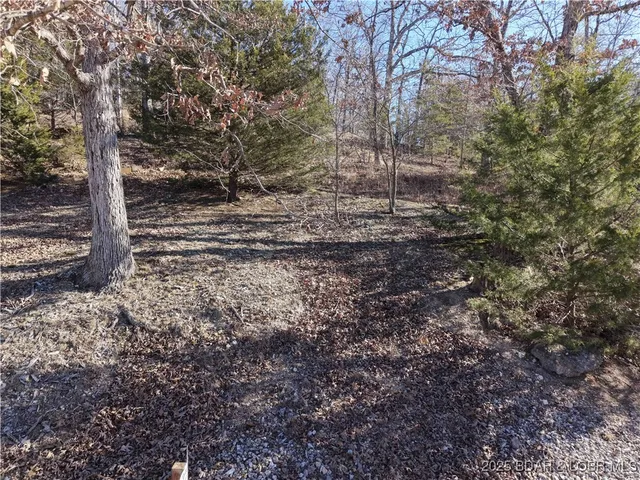 $15,500 | Anthony Cove Road, Camdenton, MO 65020