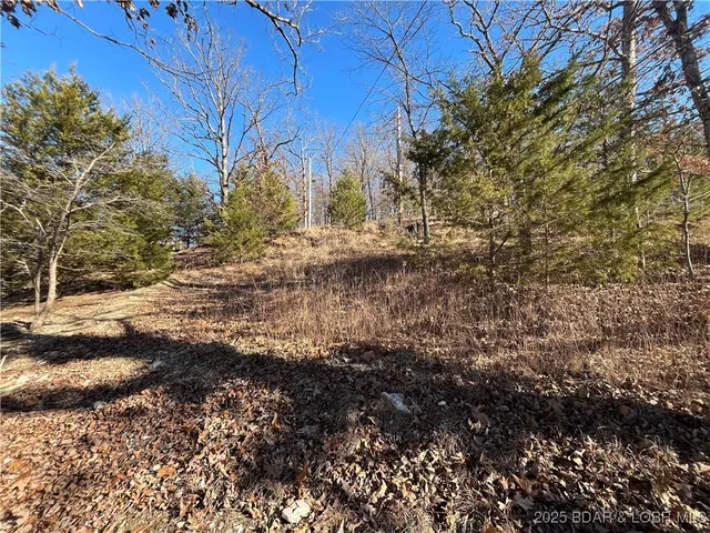 $15,500 | Anthony Cove Road, Camdenton, MO 65020