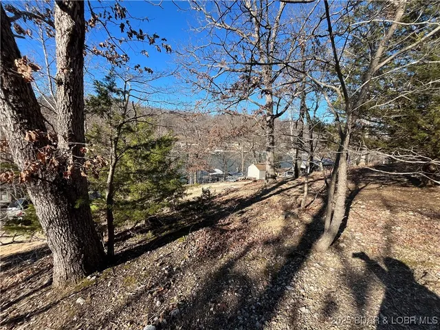 $15,500 | Anthony Cove Road, Camdenton, MO 65020