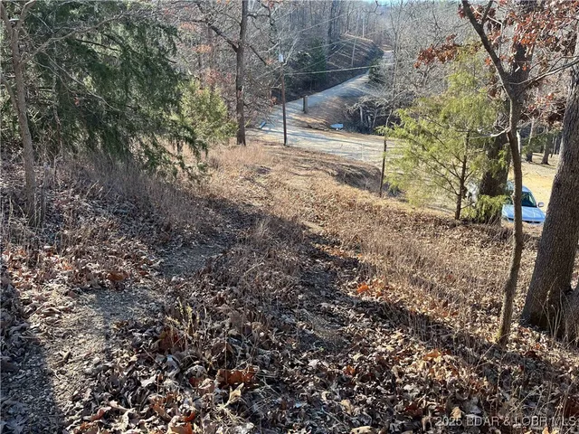 $15,500 | Anthony Cove Road, Camdenton, MO 65020