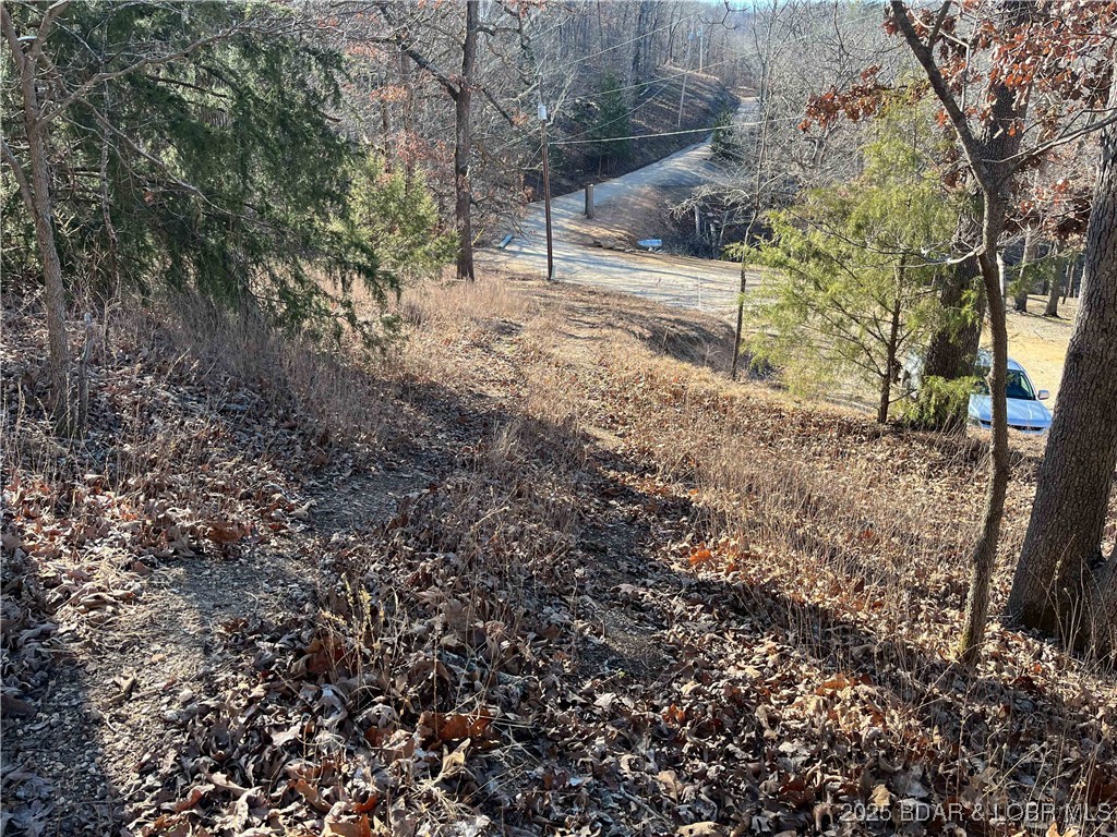 Anthony Cove Road Camdenton, MO 65020 - Photo 15 of 20