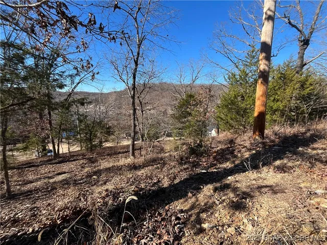 $15,500 | Anthony Cove Road, Camdenton, MO 65020