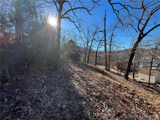 $15,500 | Anthony Cove Road, Camdenton, MO 65020