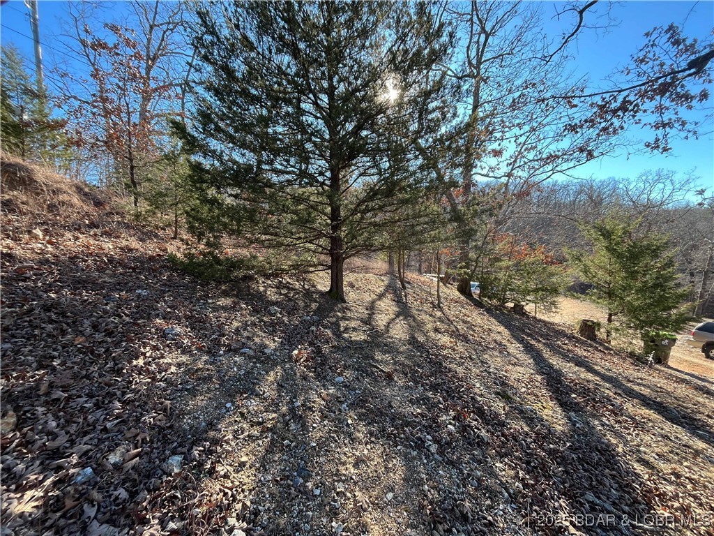 Anthony Cove Road Camdenton, MO 65020 - Photo 18 of 20