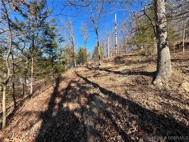 $15,500 | Anthony Cove Road, Camdenton, MO 65020