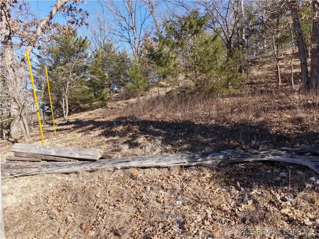 $15,500 | Anthony Cove Road, Camdenton, MO 65020