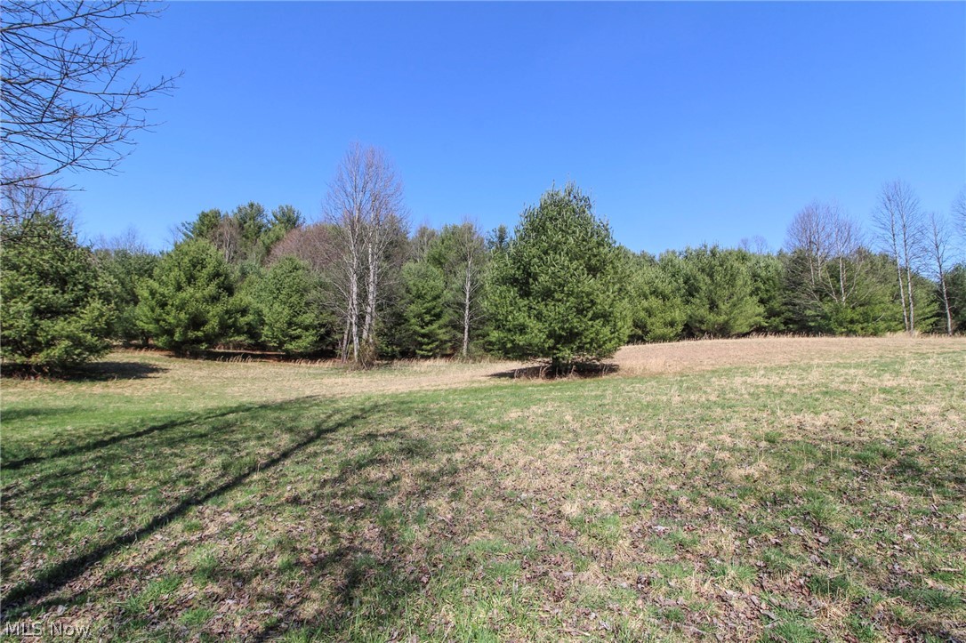 West Union Road Sardis, OH 43946 - Photo 2 of 18 View of yard