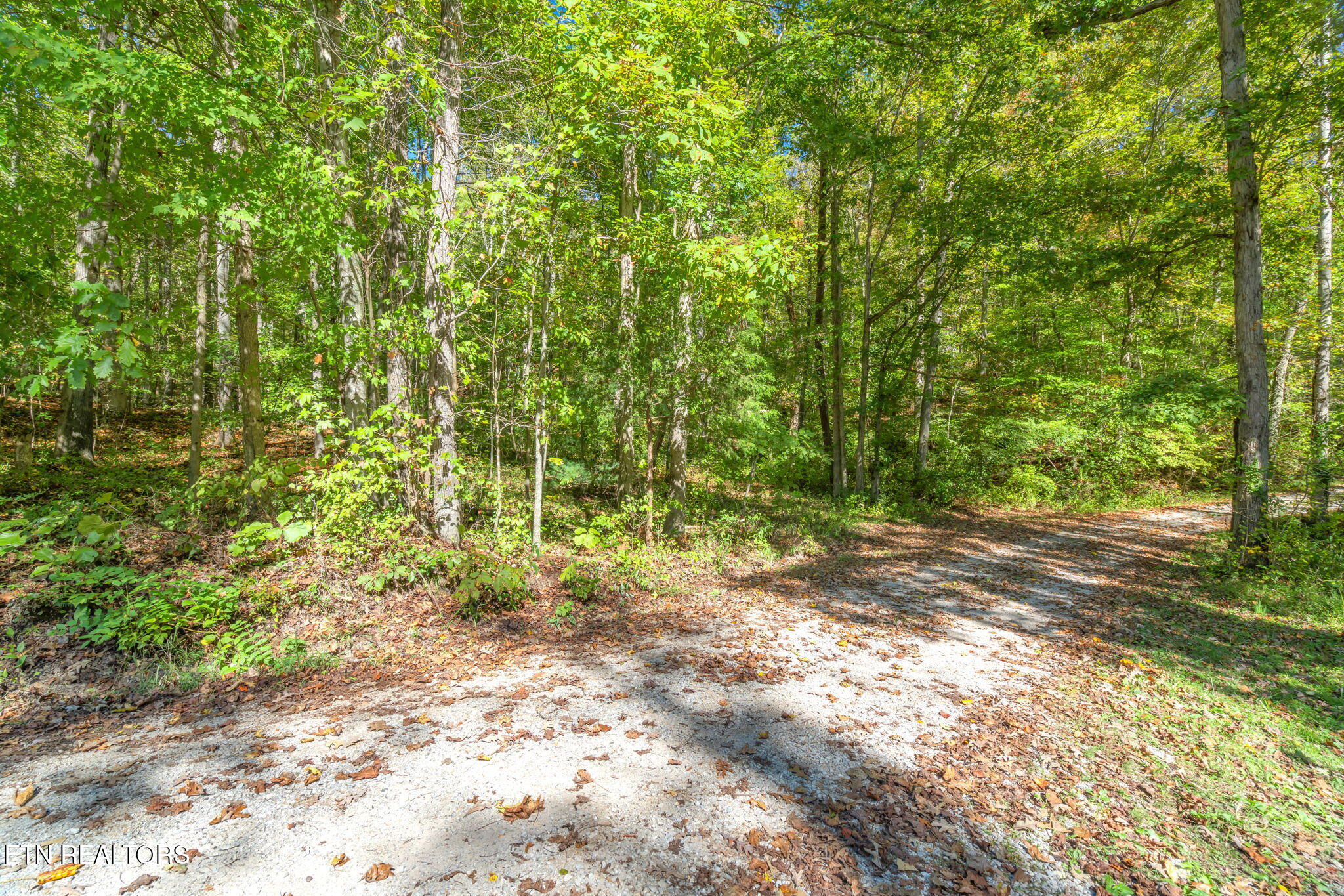 Tunnel Hill Road Harriman, TN 37748 - Photo 4 of 23 1-web-or-mls-Tunnel Hill Road-2
