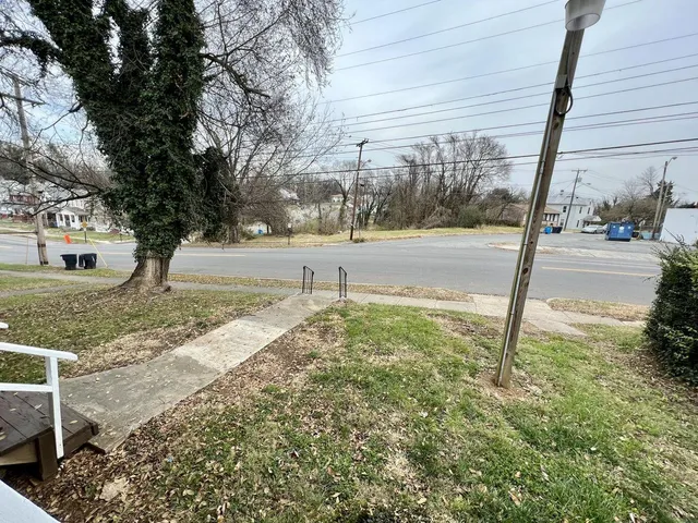 a view of a yard with plants