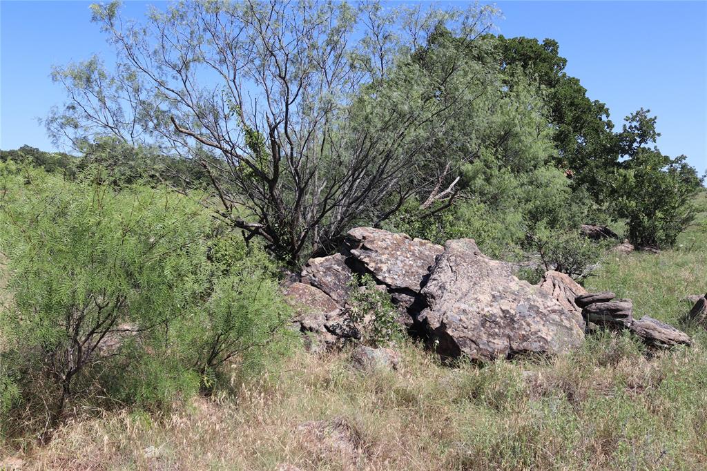 1878 Feed Road Bellevue, TX 76228 - Photo 21 of 23