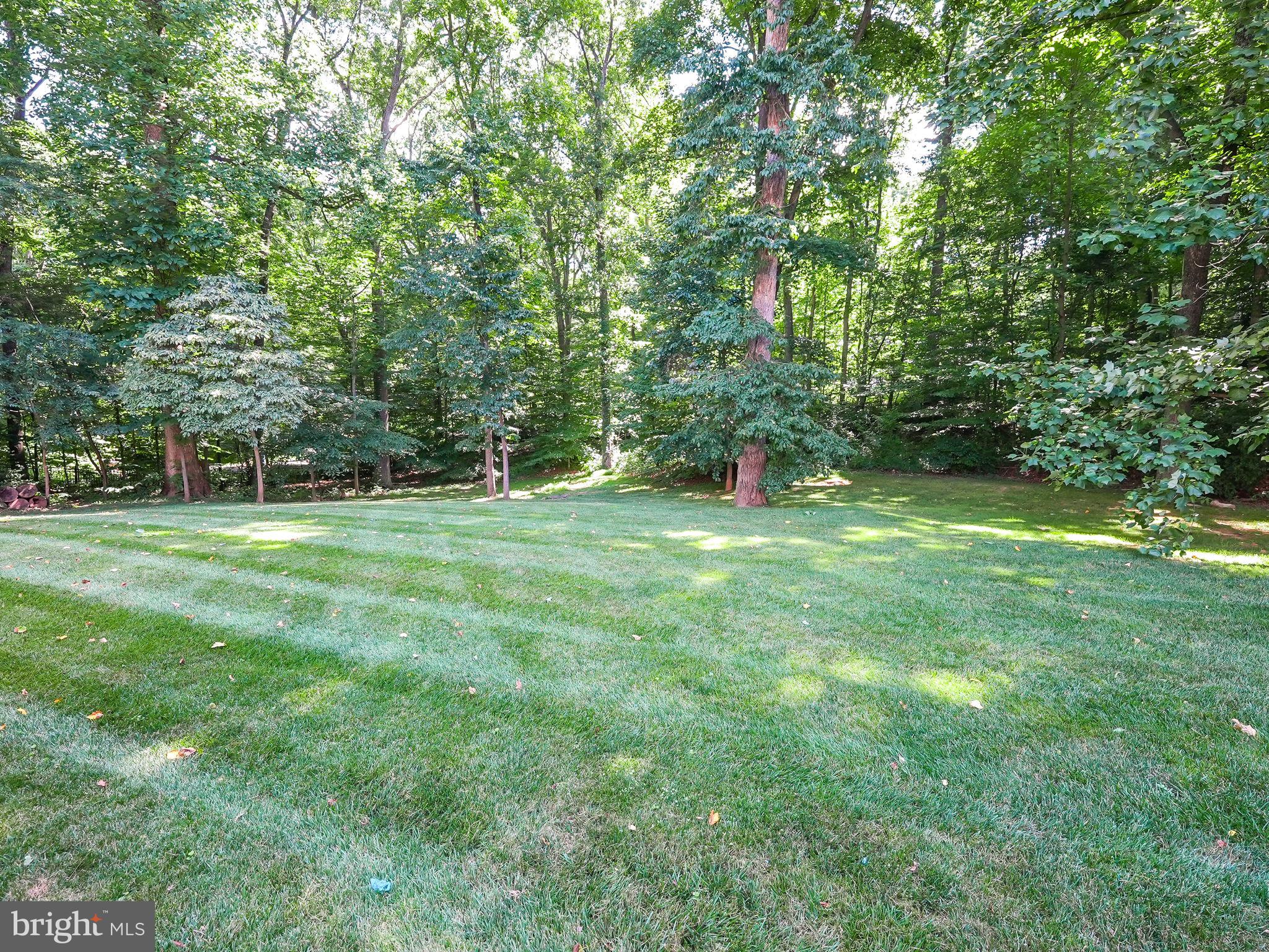 337 River Bend Road Great Falls, VA 22066 - Photo 86 of 92