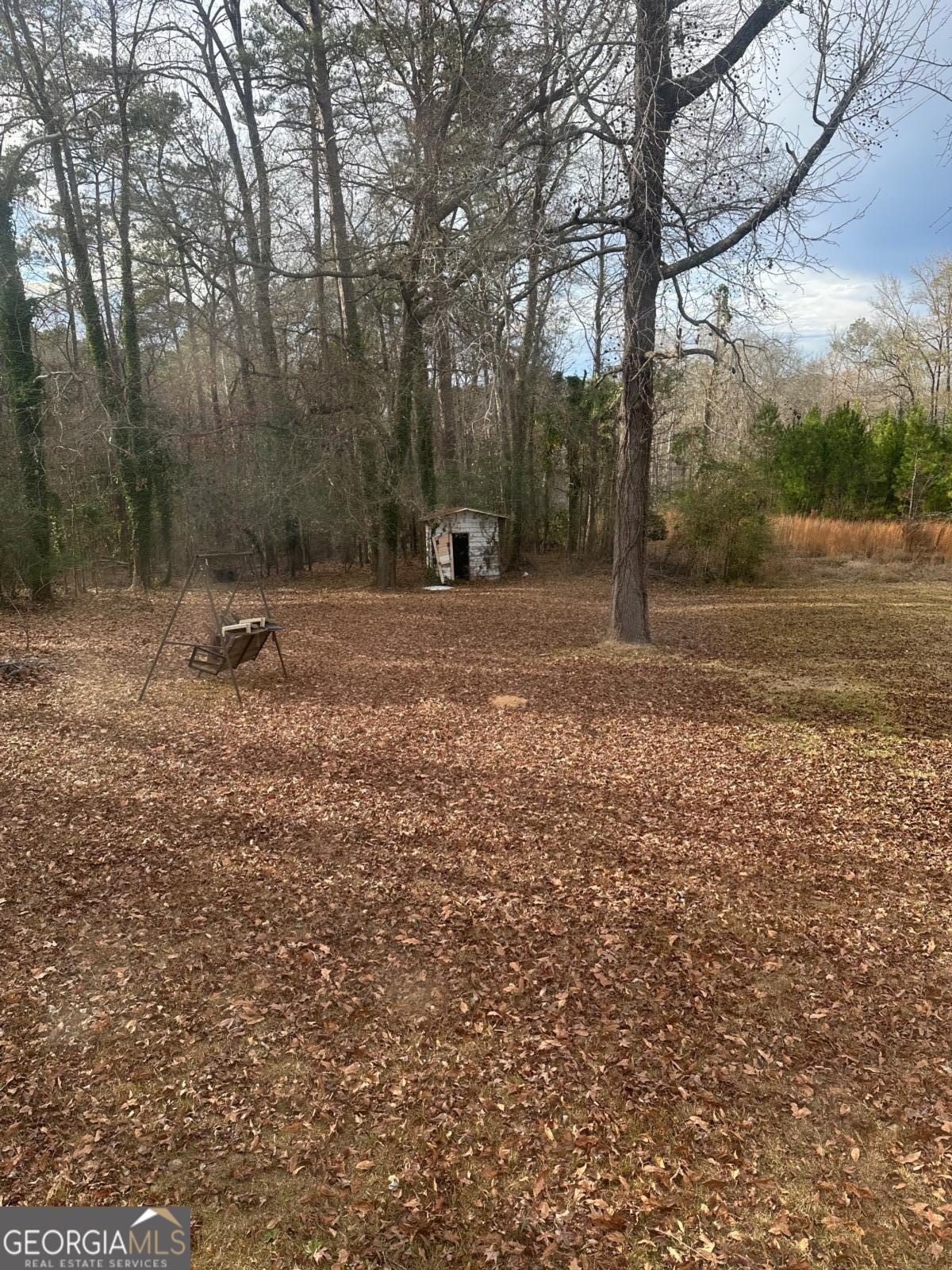 160 Macon Road McIntyre, GA 31054 - Photo 16 of 22 a backyard of a house with lots of green space