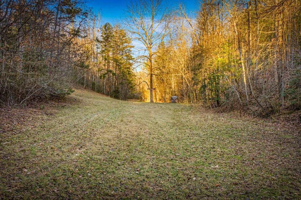 178 Arp Road Mineral Bluff, GA 30559 - Photo 48 of 75
