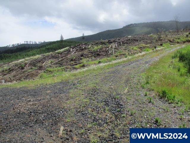 0 Northwest Fairdale Road Yamhill, OR 97148 - Photo 7 of 27