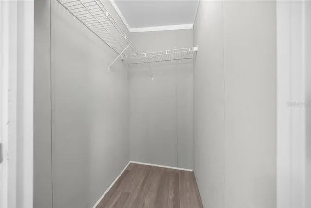 a view of the patio with couches and potted plants