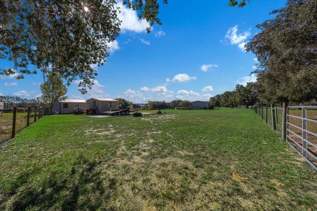 17355 Southeast 260th Avenue Road Umatilla, FL 32784 - Photo 45 of 69 a view of a garden with a tree