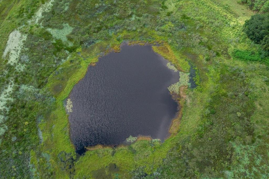 17355 Southeast 260th Avenue Road Umatilla, FL 32784 - Photo 51 of 69