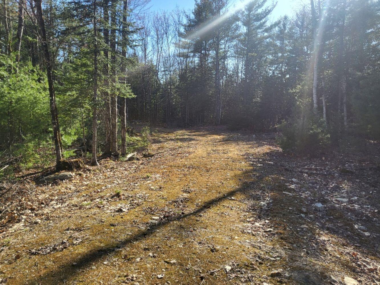 Lot 19 L15-3 Coburn Road Carthage, ME 04224 - Photo 2 of 14 20240422_170009_resized_result