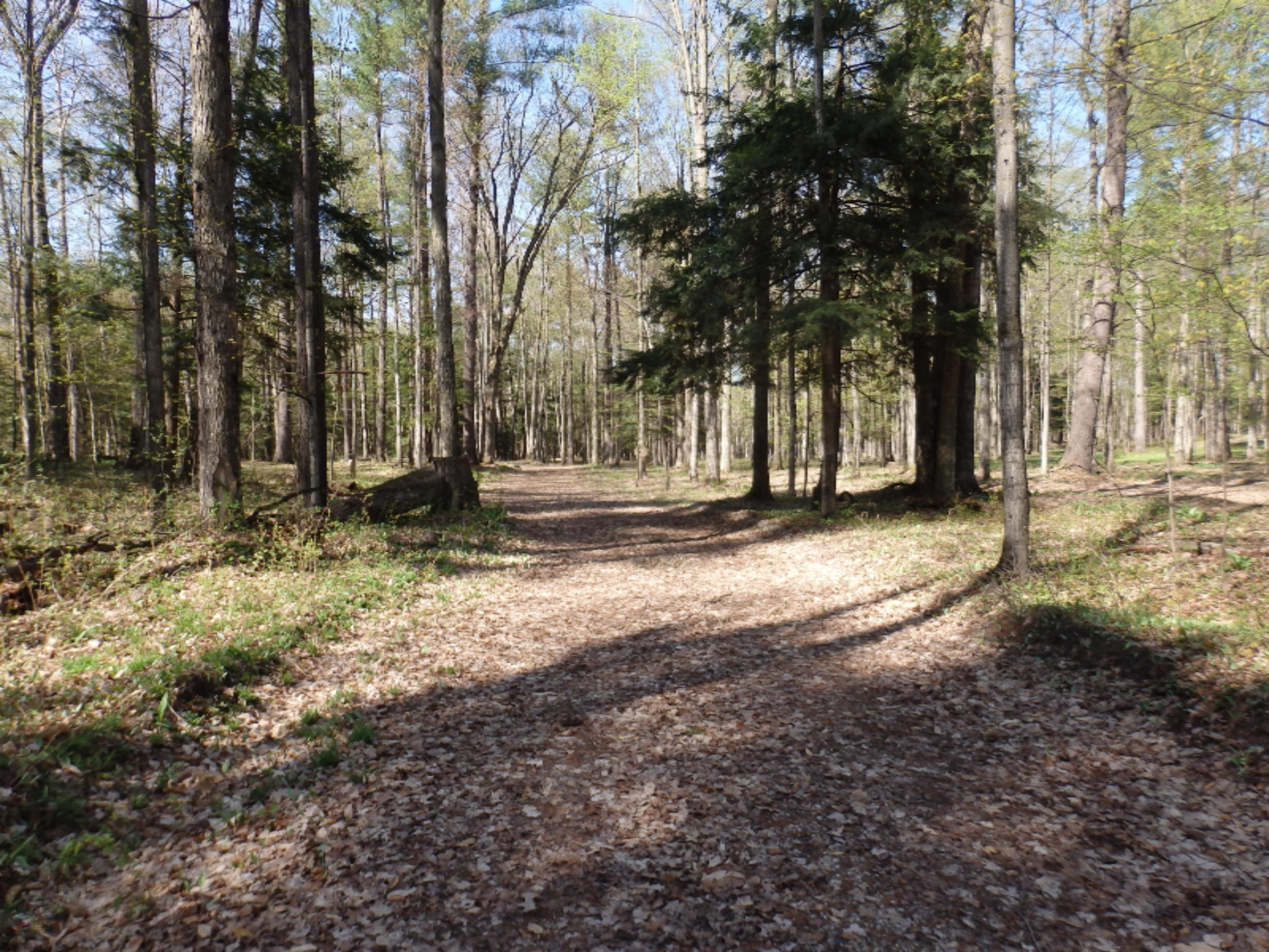 Oravainen Road, Unit PARCEL C Kaleva, MI 49645 - Photo 19 of 25 P5100595
