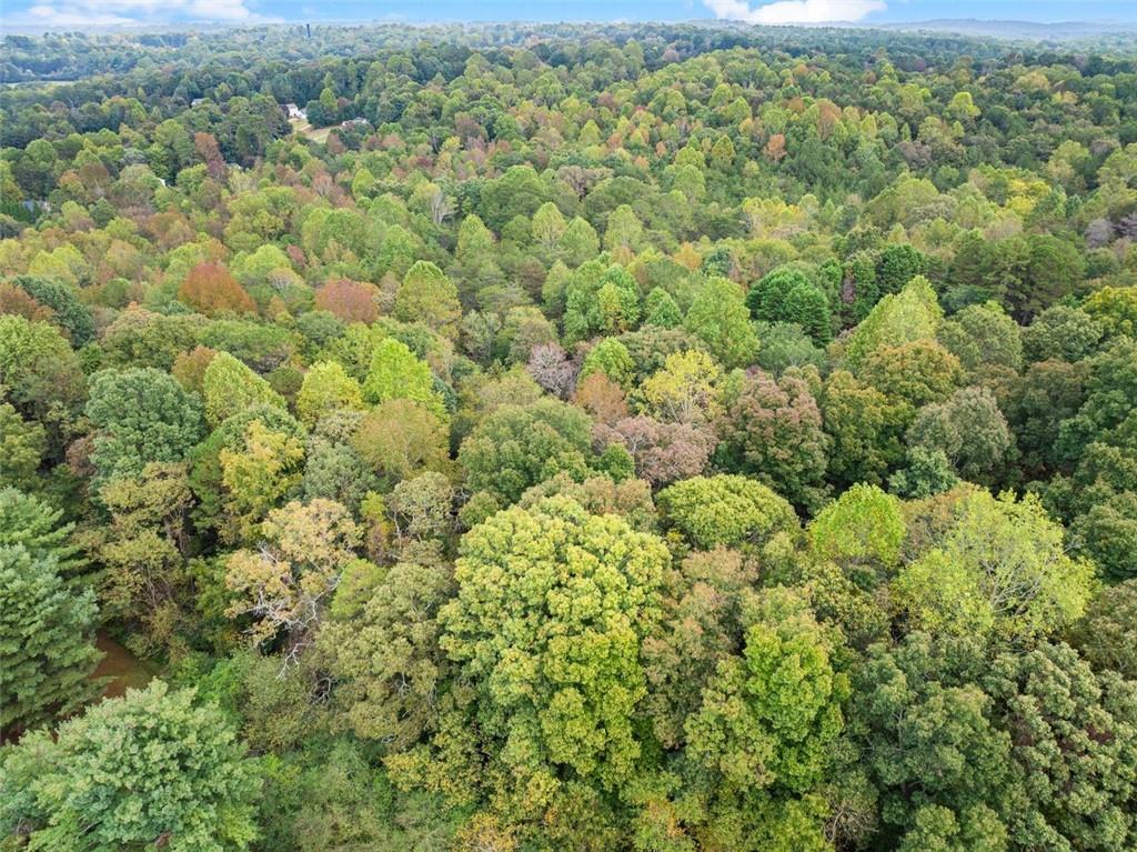 6668 Belton Bridge Road Lula, GA 30554 - Photo 16 of 20 a view of a large yard with lots of green space