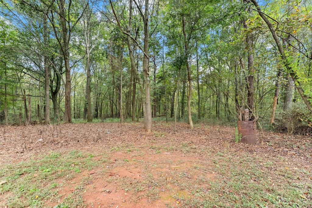 6668 Belton Bridge Road Lula, GA 30554 - Photo 5 of 20 a view of outdoor space with trees
