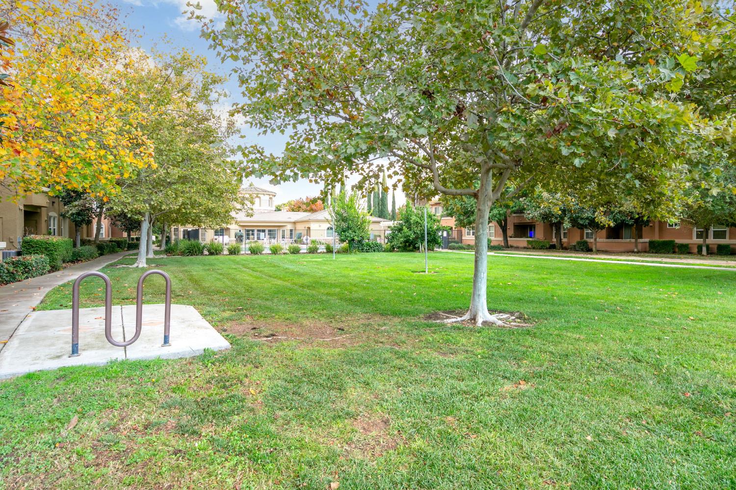 1900 Danbrook Drive, Unit 1222 Sacramento, CA 95835 - Photo 47 of 51 a view of a park with a large tree