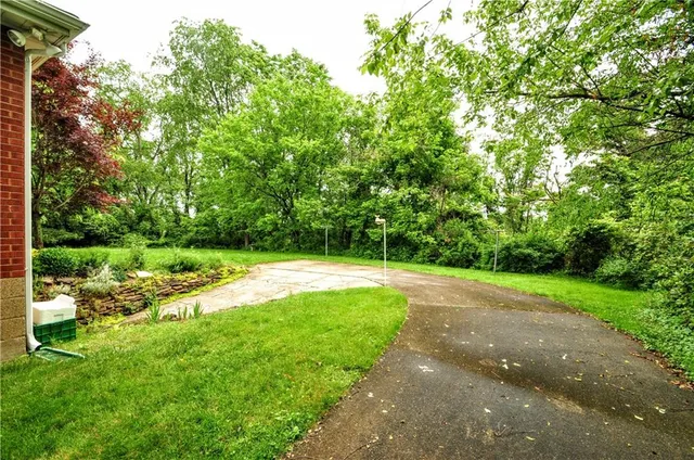 a view of a street with a yard and a large tree