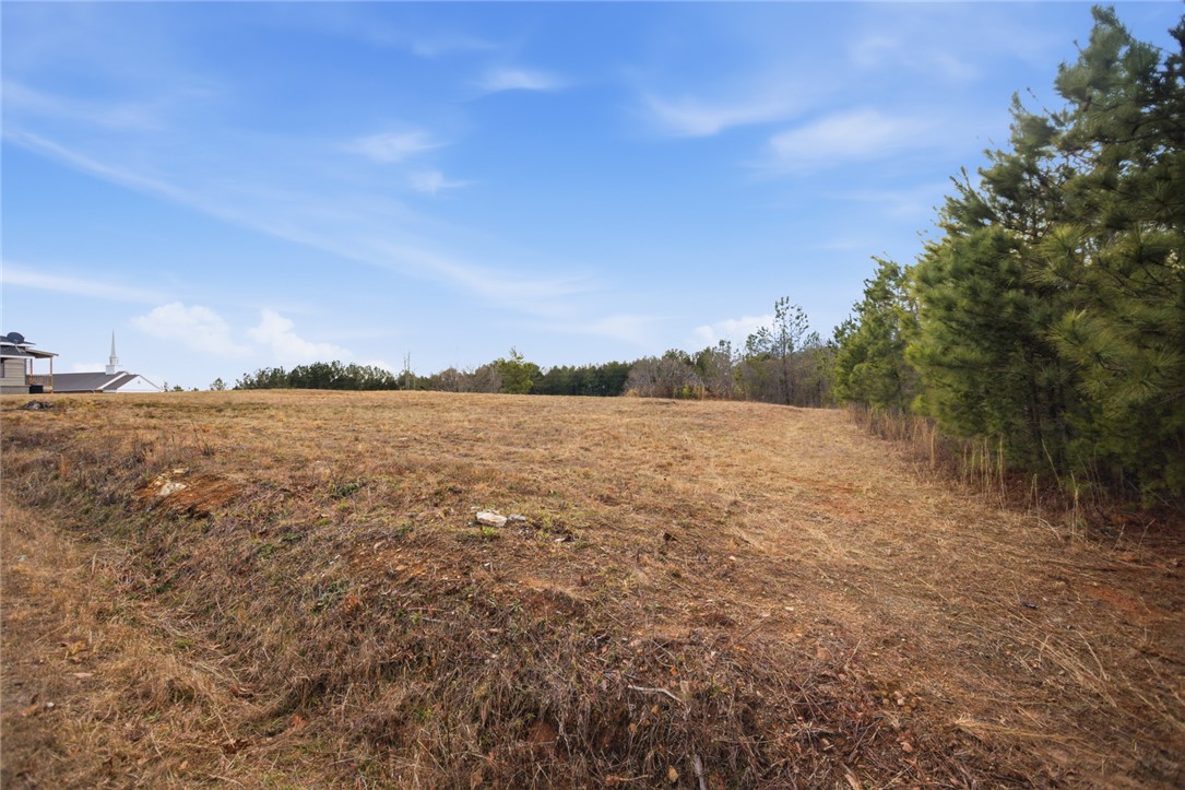0 Grogan Road Westminster, SC 29693 - Photo 3 of 20
