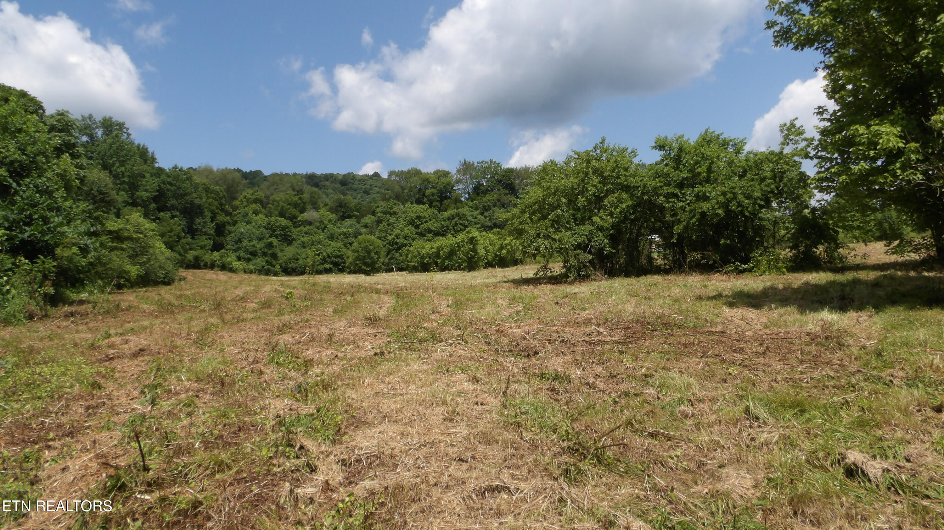 5.6-ac Lonnie Reecer Road Celina, TN 38551 - Photo 23 of 47 100_0055