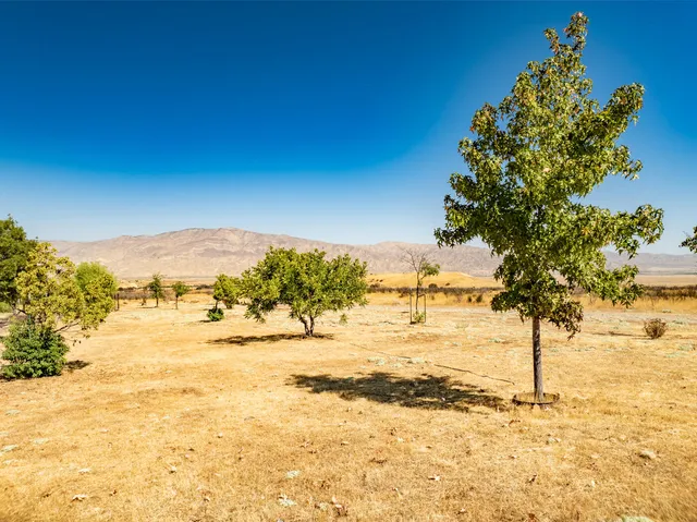 a view of a yard with an outdoor space