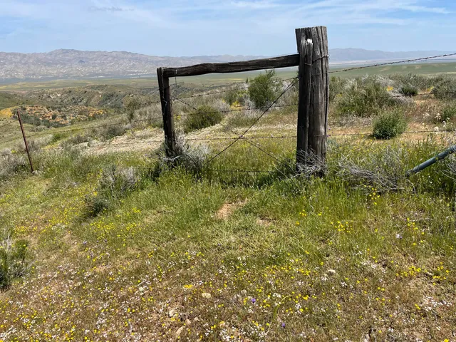 a view of an ocean beach