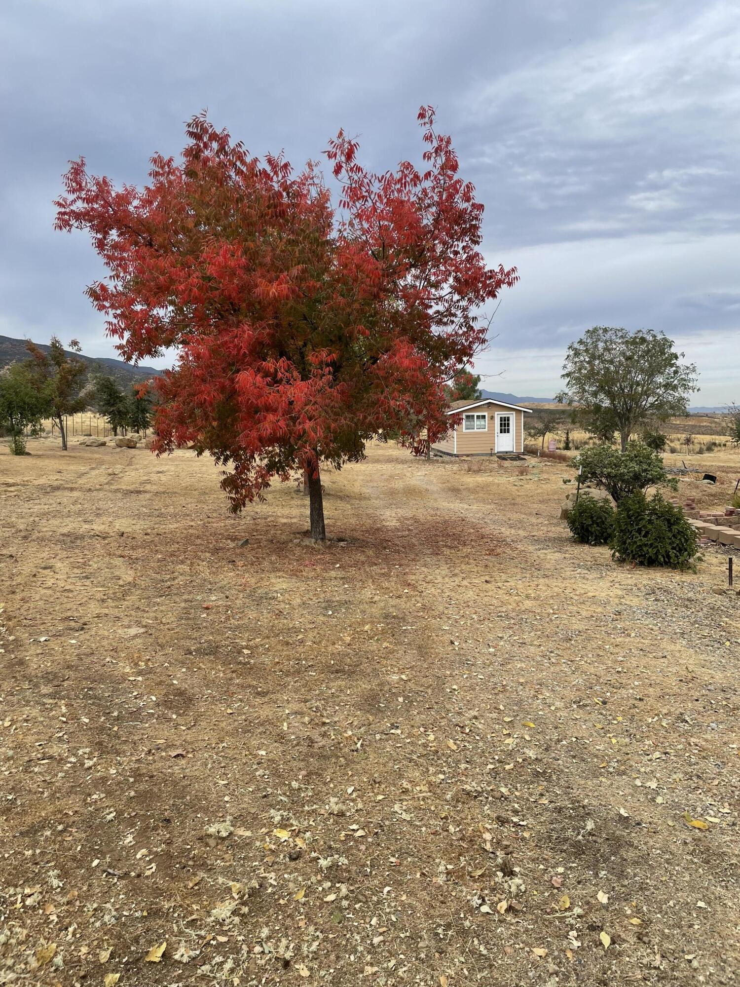 8300 Foothill Road New Cuyama, CA 93254 - Photo 9 of 26 8300 Foothill Road