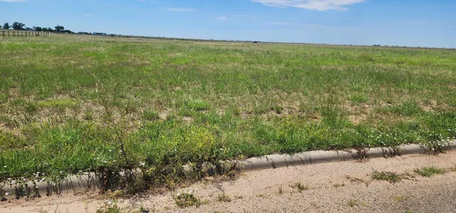 a view of a field with an trees in the background
