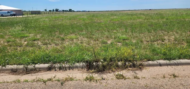 $37,000 | 11120 Andretti Drive, Amarillo, TX 79118