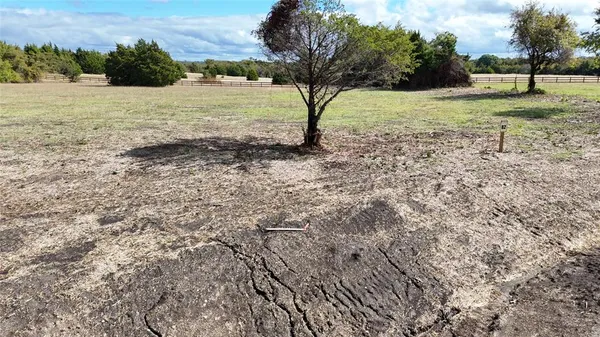 a view of a grassy area with an trees