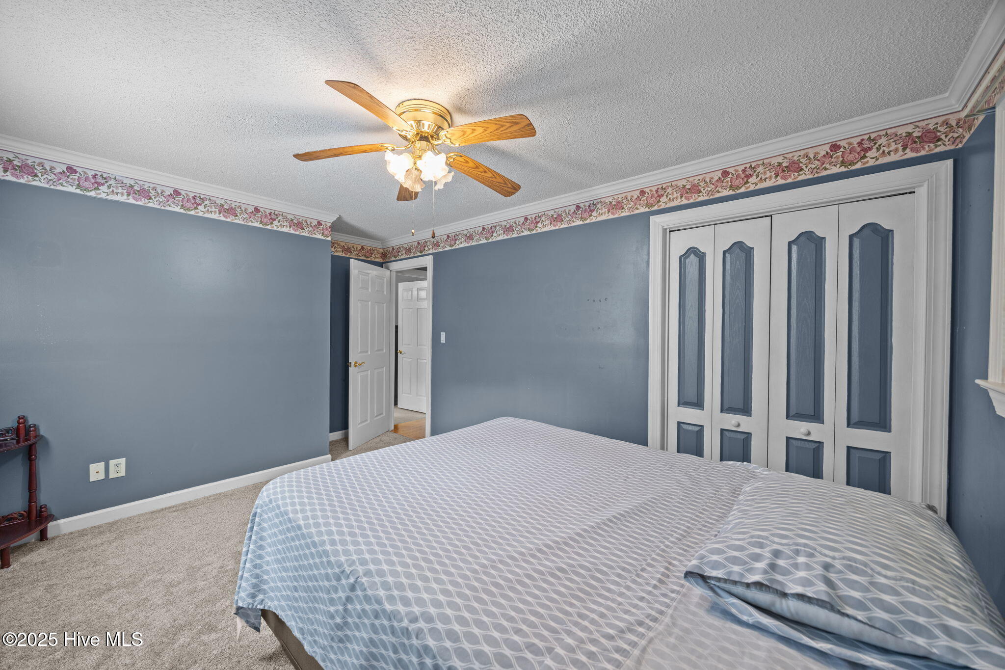 2171 Staton Mill Road Bethel, NC 27812 - Photo 16 of 42 22-web-or-mls-BLS_0036