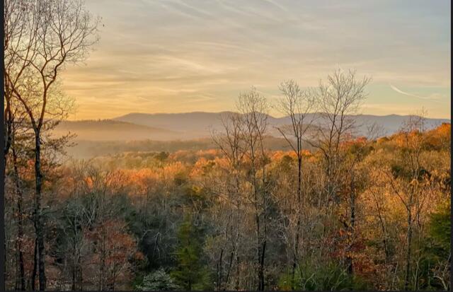 208 Wolf Trace Blue Ridge, GA 30513 - Photo 1 of 15 Fall view from morning view lodge