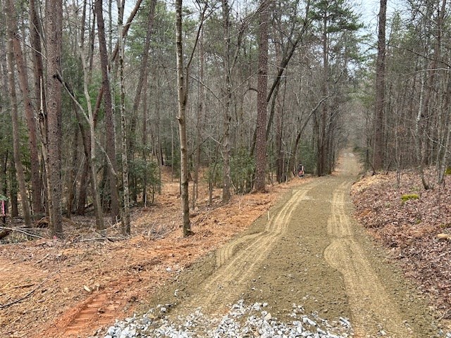 5.95-ac Alp Lane Blue Ridge, GA 30513 - Photo 14 of 15 Gallery Image 14