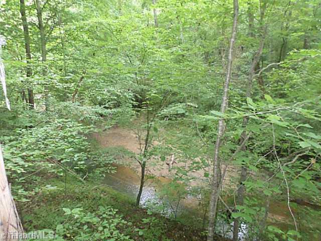 250 Herman Road Reidsville, NC 27320 - Photo 14 of 16 Other. view from the deck overlooking the creek