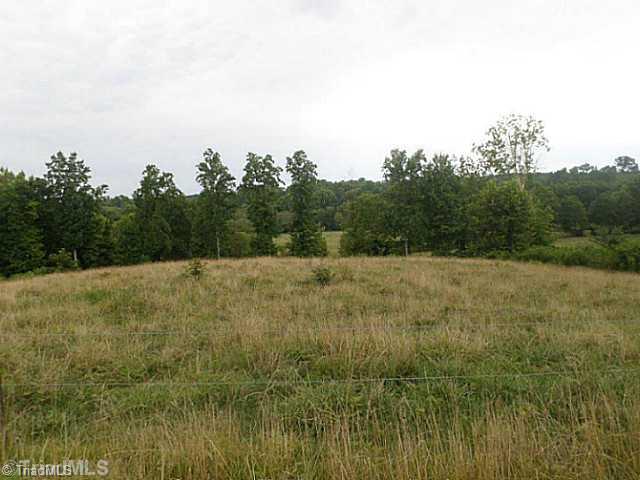250 Herman Road Reidsville, NC 27320 - Photo 16 of 16 Other. WOW what a place to build a second home