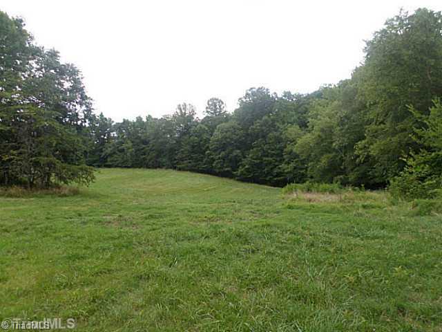 250 Herman Road Reidsville, NC 27320 - Photo 6 of 16 Other. Plenty of grazing land