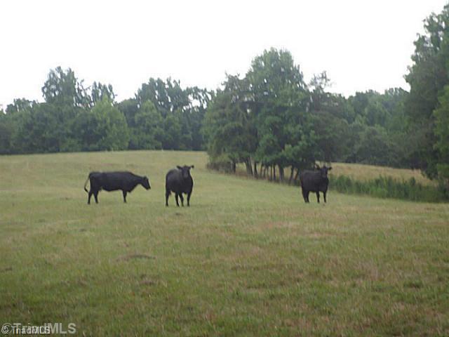250 Herman Road Reidsville, NC 27320 - Photo 7 of 16 Other. Plenty of places to roam, ride and have cattle
