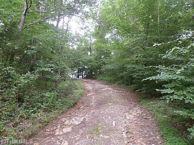 250 Herman Road Reidsville, NC 27320 - Photo 8 of 16 Other. Road from house to the back of the farm