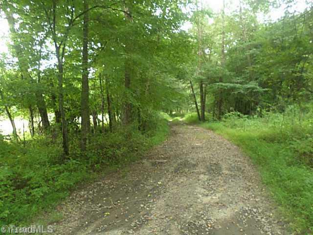 250 Herman Road Reidsville, NC 27320 - Photo 9 of 16 Other. road to lower pasture