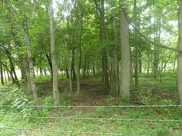 250 Herman Road Reidsville, NC 27320 - Photo 10 of 16 Other. shady areas for cattle