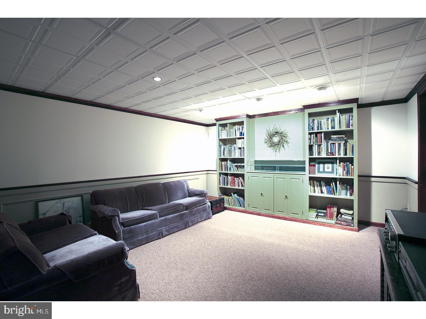 4025 Ruckman Way Buckingham, PA 18902 - Photo 21 of 25 Basement - Finished