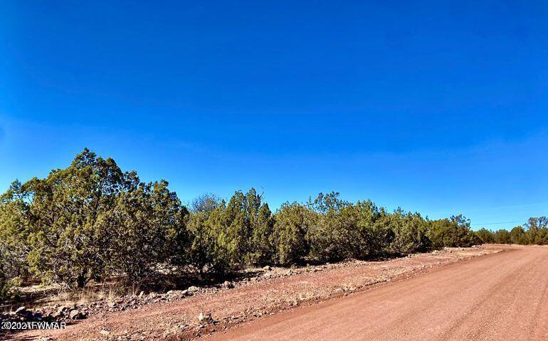 3064 Cumberland Road Williams, AZ 86046 - Photo 4 of 8 Gallery Image 4
