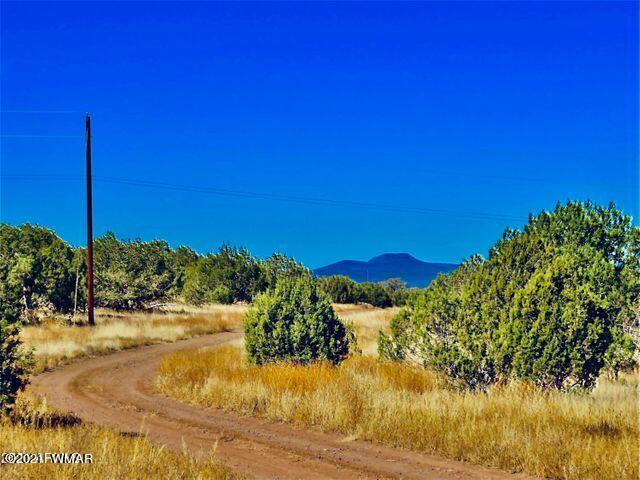 3064 Cumberland Road Williams, AZ 86046 - Photo 8 of 8 Gallery Image 8