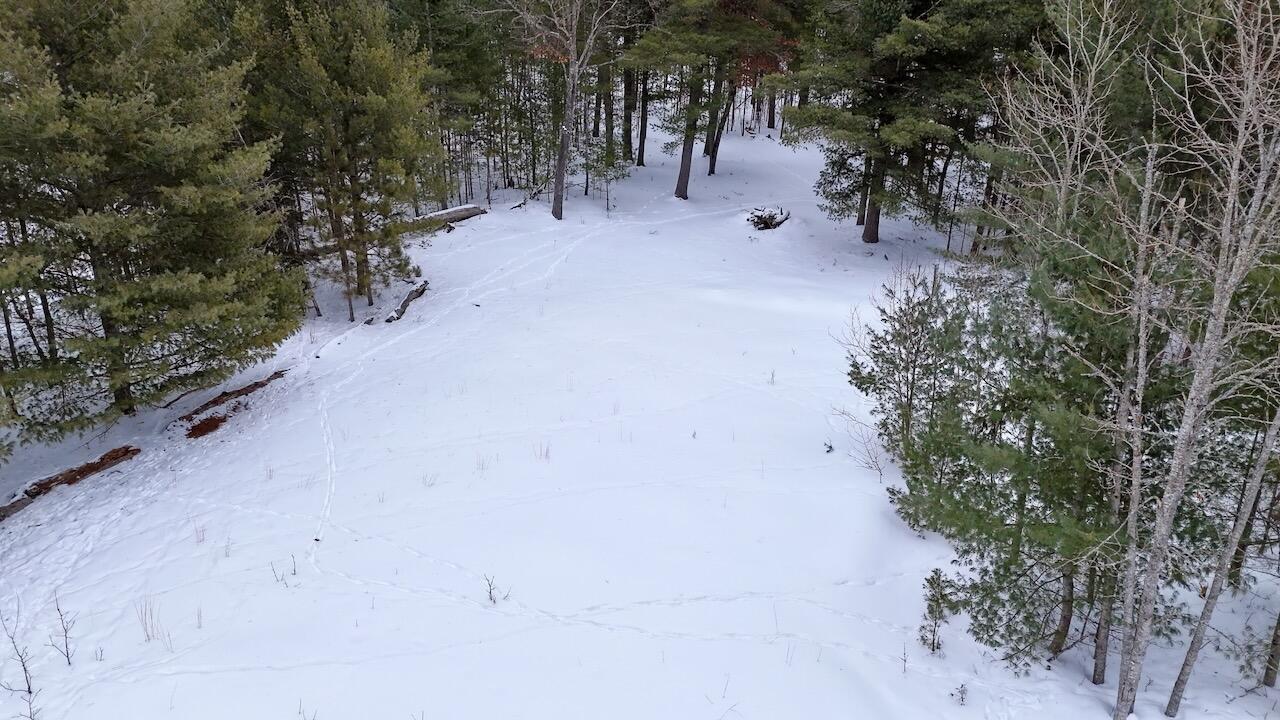 4440 Cherry Creek Road Lewiston, MI 49756 - Photo 22 of 58