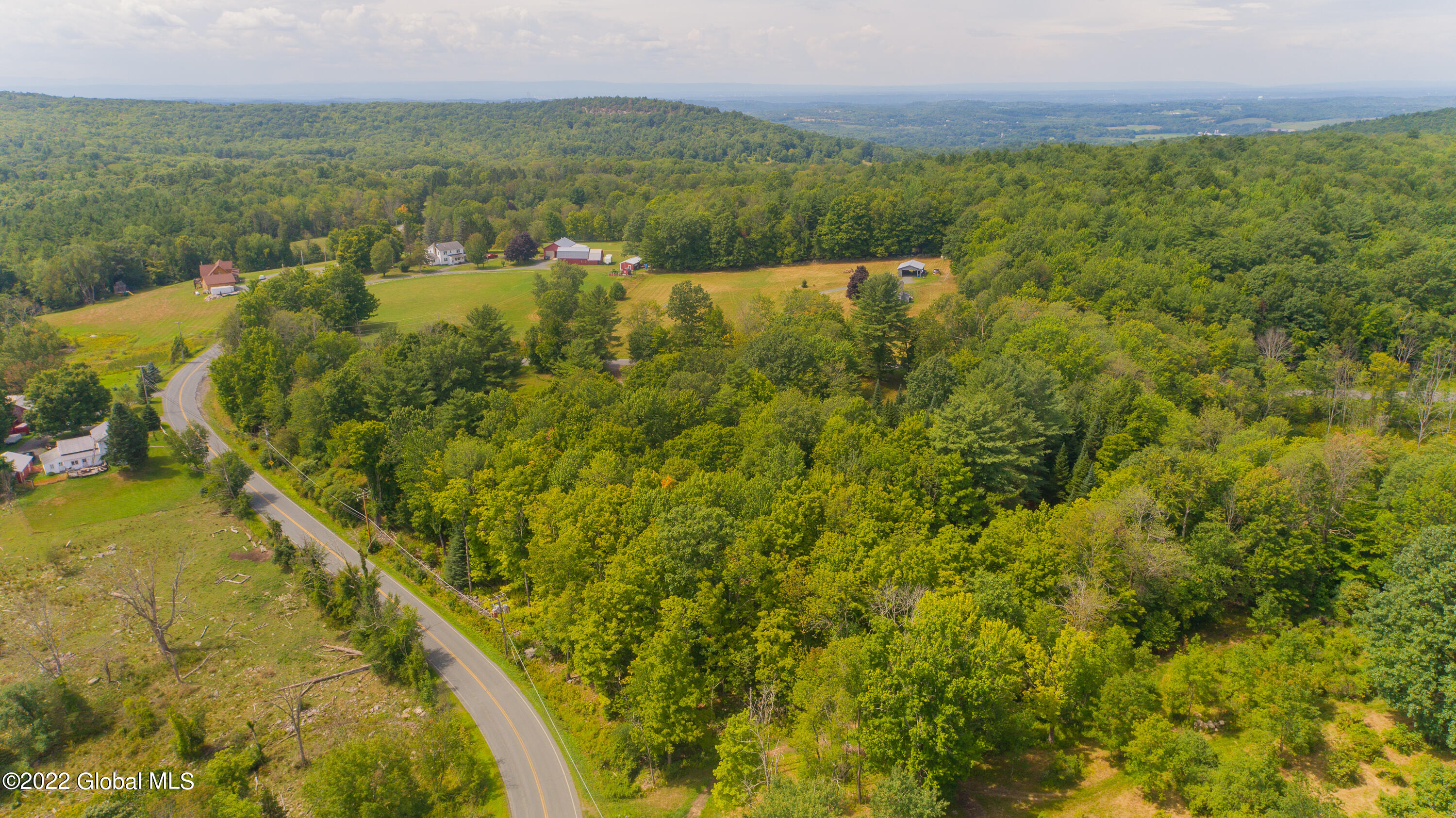 313 Columbia Hill Road Poestenkill, NY 12018 - Photo 75 of 98 Aerial 23